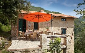 Casa Berti - Urlaub Im Olivenhain